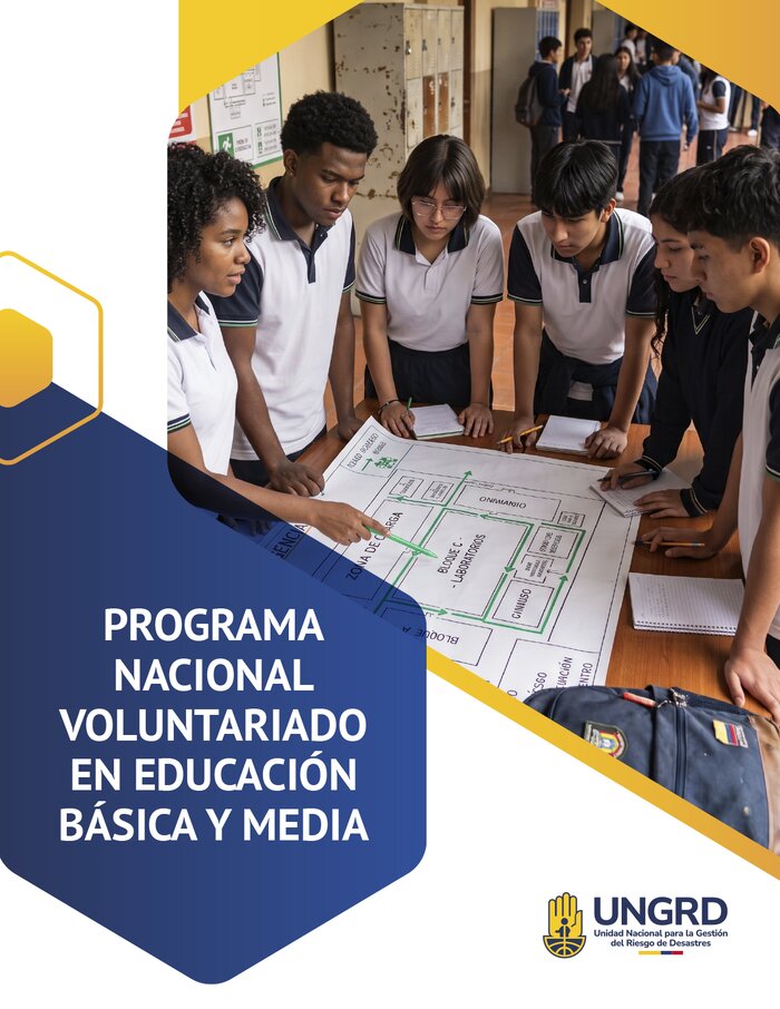 Programa Nacional Voluntariado en educación Básica y Media